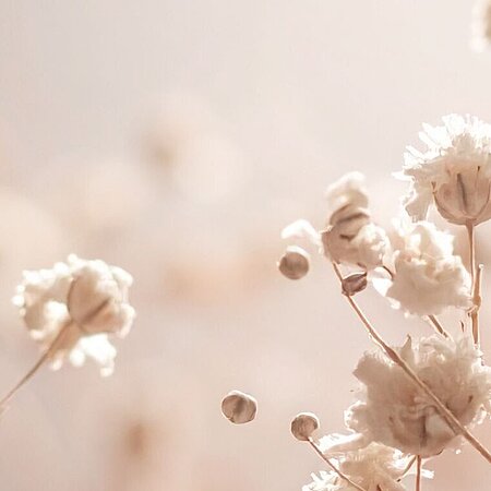 Bewusstseinsentwicklung & Potenzialentfaltung